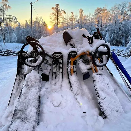 W Wilderness Feeling 20 Min From Airport *