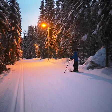 W Wilderness Feeling 20 Min From Airport * Maura