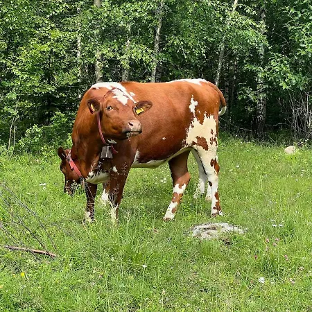 Ferienhaus W Wilderness Feeling 20 Min From Airport Maura