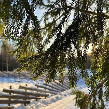 W Wilderness Feeling 20 Min From Airport
