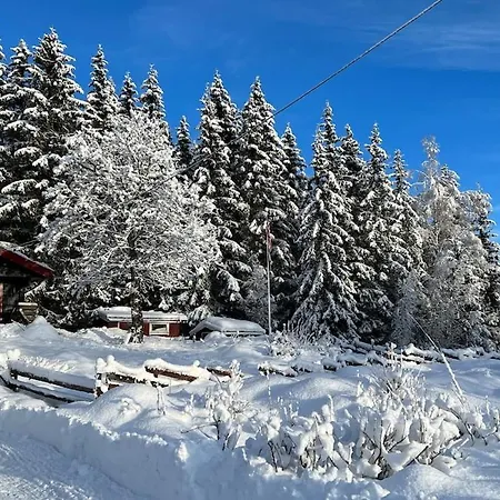 W Wilderness Feeling 20 Min From Airport * Maura