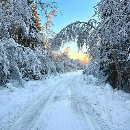 W Wilderness Feeling 20 Min From Airport Ferienhaus Maura