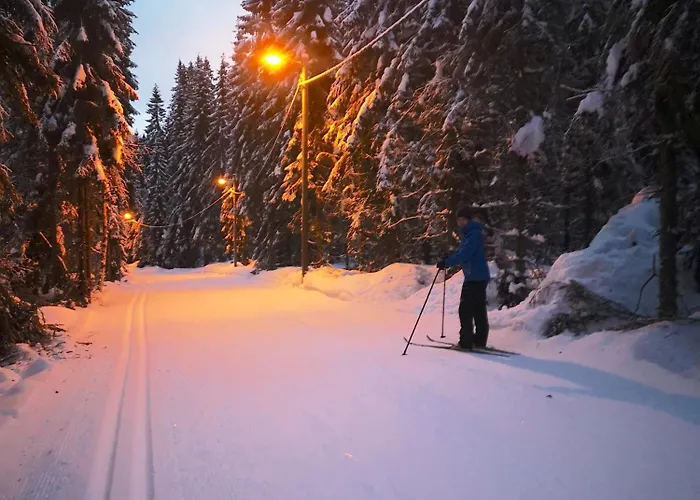 W Wilderness Feeling 20 Min From Airport * Maura