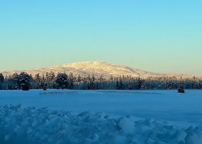 W Wilderness Feeling 20 Min From Airport Hébergement de vacances *