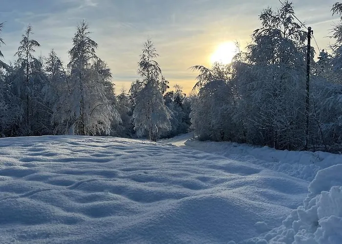 W Wilderness Feeling 20 Min From Airport Dom wakacyjny Maura
