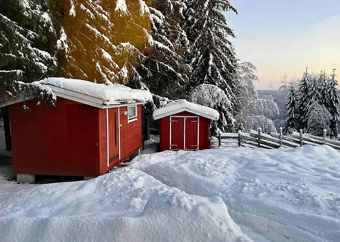 W Wilderness Feeling 20 Min From Airport Hébergement de vacances