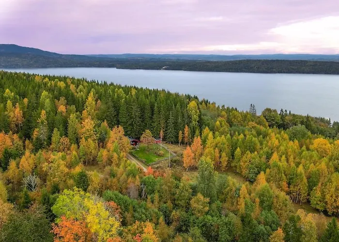W Wilderness Feeling 20 Min From Airport * Maura