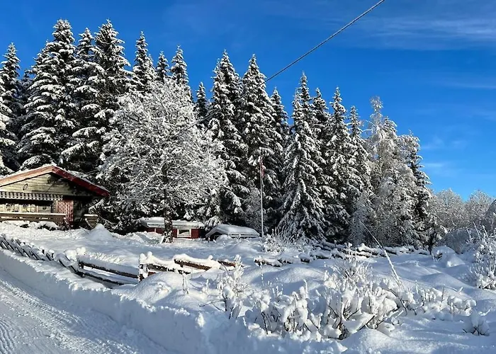 W Wilderness Feeling 20 Min From Airport * Maura